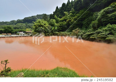 血の池地獄 柴石温泉 別府 血の池地獄 柴石温泉 別府 24519502
