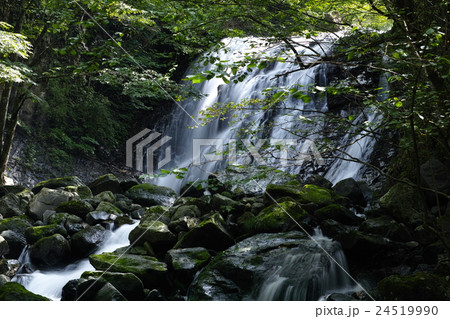 霹靂の滝＜夏＞ 24519990