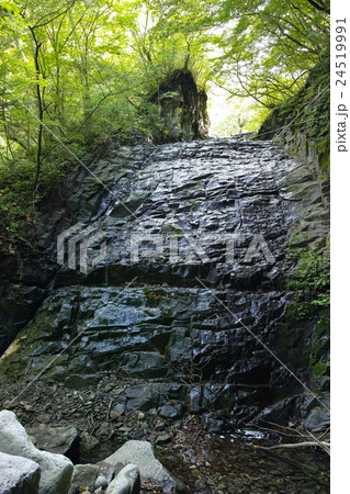 咆哮の滝<夏> 咆哮の滝<夏> 24519991