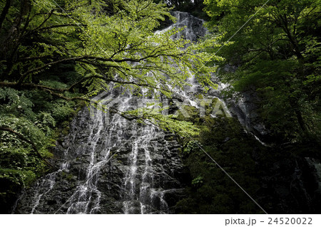 日本の滝百選に選ばれた福井県の名瀑・龍双ヶ滝。夏でもひんやり涼しい 24520022