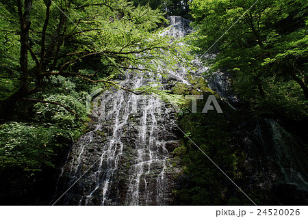 龍双ヶ滝 日本の滝100選 福井県池田町 龍双ヶ滝 日本の滝100選 福井県池田町 24520026