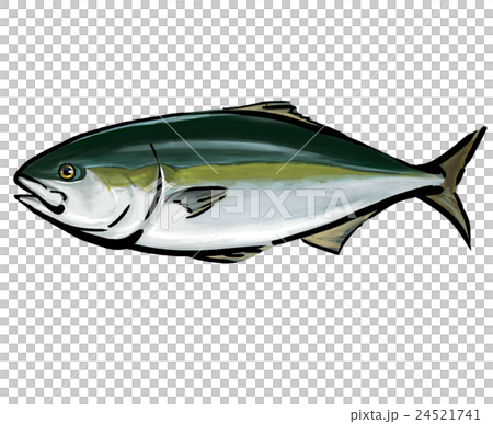 Cold berry illustration Cold berry illustration 24521741