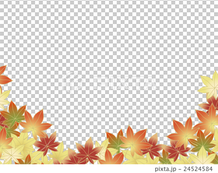 秋天的樹葉 24524584