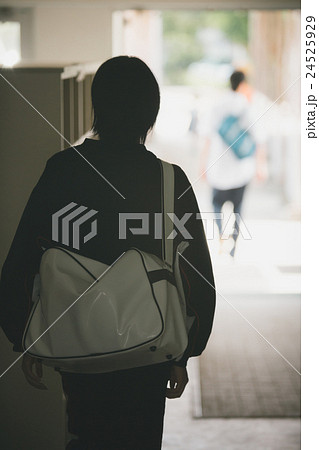 School life  24525929