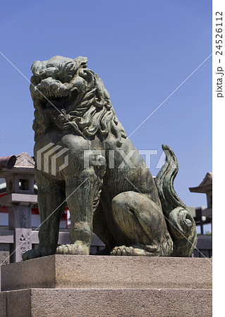 成田山不動尊の狛犬 24526112