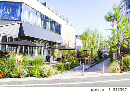 代官山の街並み 24526567