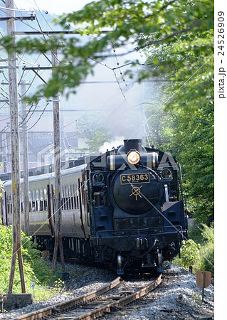 新緑のパレオエキスプレス 24526909