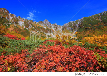 千畳敷カールの紅葉最盛期 24527355