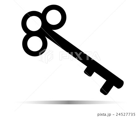 key icon, Key symbol isolated on white background 24527735