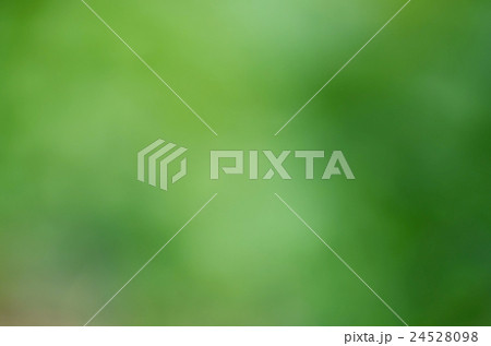 Background green Background green 24528098
