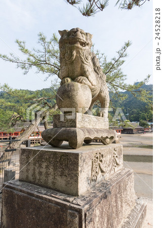 狛犬 24528218