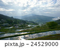 早朝の坂折棚田1 24529000