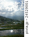 早朝の坂折棚田2 24529001