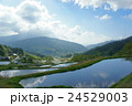 早朝の坂折棚田3 24529003