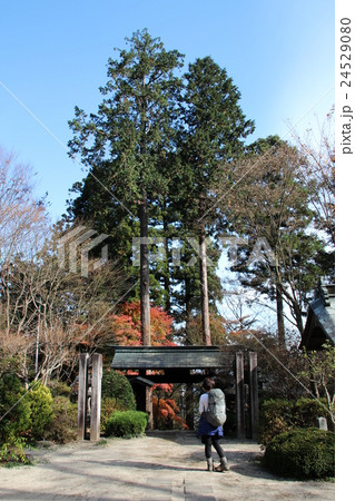 奥多摩にある高水山常福院(不動尊)の入り口と紅葉 奥多摩にある高水山常福院(不動尊)の入り口と紅葉 24529080