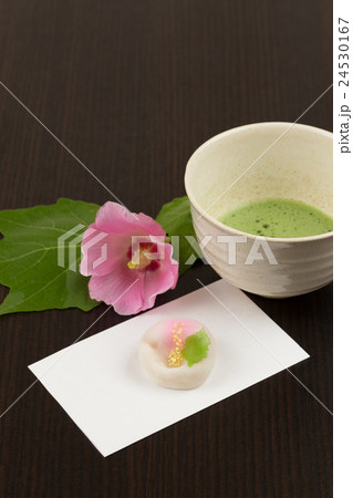 茶道(芙蓉イメージ) 茶道(芙蓉イメージ) 24530167