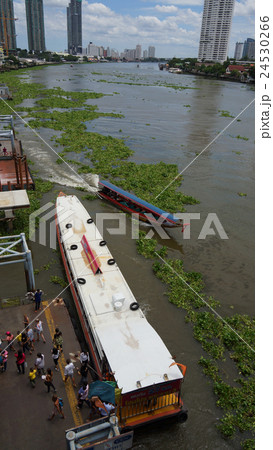 チャオプラヤ川の船着き場 bangkok 2016 チャオプラヤ川の船着き場 bangkok 2016 24530266