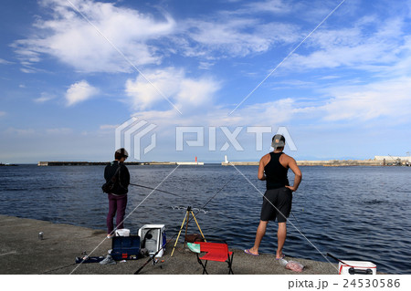三崎港の釣り人 三崎港の釣り人 24530586