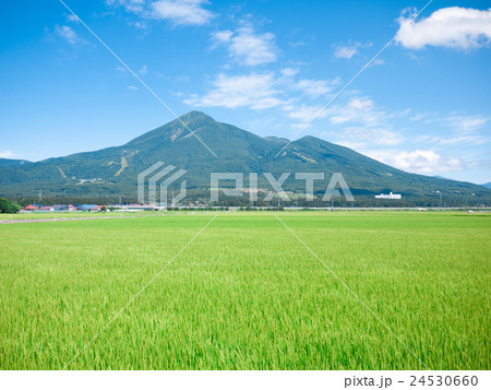 田んぼと会津磐梯山 24530660