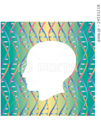 横顔シルエットの中の二重螺旋構造パターン 横顔シルエットの中の二重螺旋構造パターン 24531218