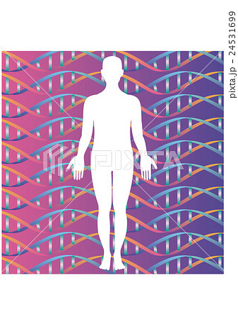 人体シルエットの中の二重螺旋構造パターン のイラスト素材