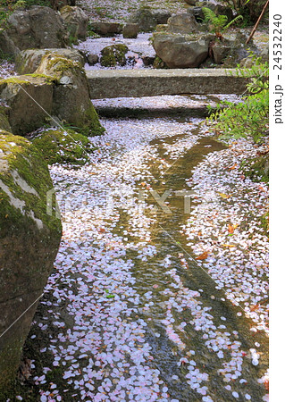 勝持寺 勝持寺 24532240