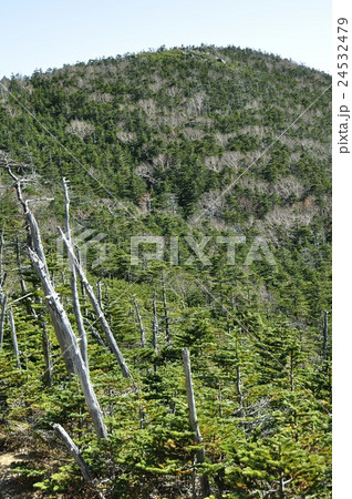 前国師より北奥千丈岳 24532479