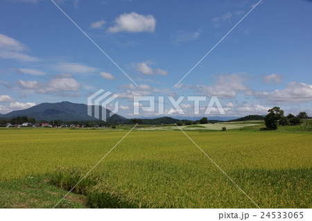 斑尾山と田んぼ 24533065