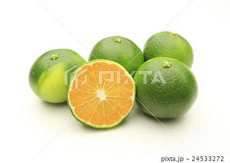 あおぎりみかん 24533272