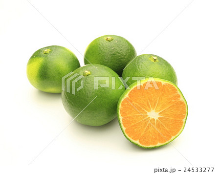 あおぎりみかん あおぎりみかん 24533277