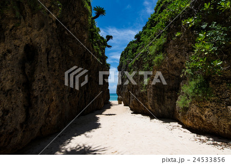 沖縄県　備瀬のワルミ 24533856