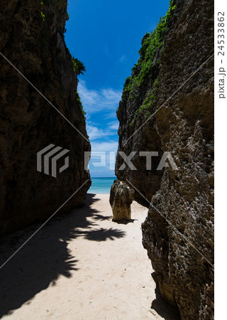 沖縄県 備瀬のワルミ 沖縄県 備瀬のワルミ 24533862