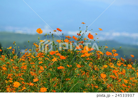 生駒高原 24533937