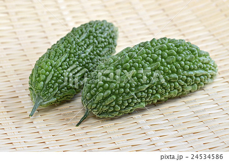 ツルレイシ（ゴーヤ） 24534586