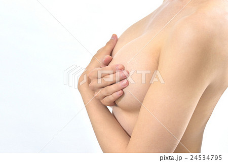 ボディーパーツ　バスト 24534795