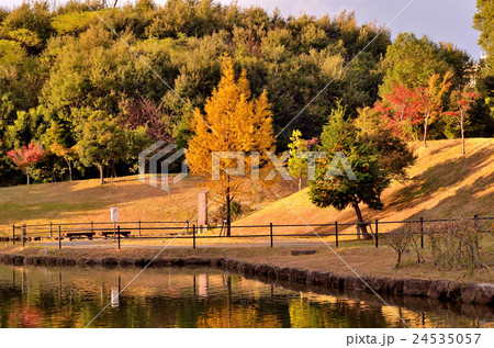 秋の公園 秋の公園 24535057