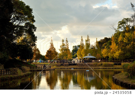 秋の公園 24535058