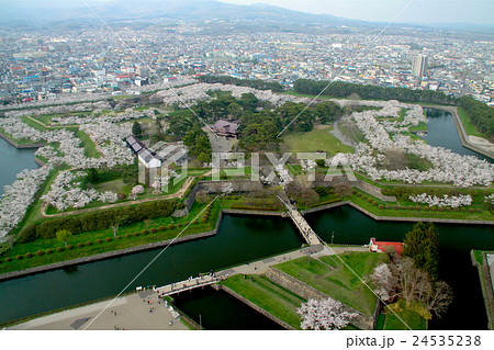 桜咲き乱れる五稜郭公園（五稜郭タワーより眺望）/北海道　 24535238
