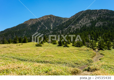 四阿山・根子岳登山 (104) 24535430