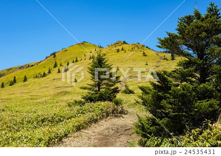 四阿山・根子岳登山 (105) 24535431