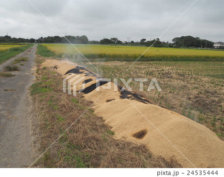 もみ殻を焼いている風景 24535444