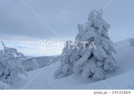 冬の蔵王山 冬の蔵王山 24535809