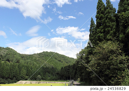 大矢谷白山神社（福井県 勝山市 平泉寺町 大矢谷） 24536829