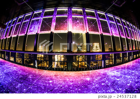 東京タワー「サマーナイトファンタジア」 24537128