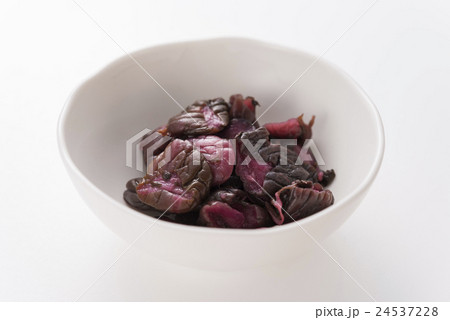 しば漬け 24537228