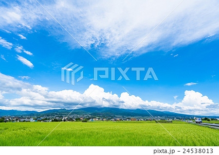 【長野県】田園風景と夏空 【長野県】田園風景と夏空 24538013