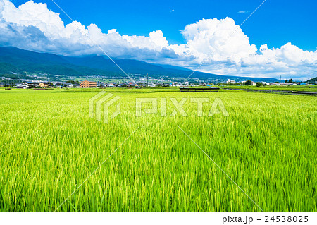 長野県 田園風景と夏空の写真素材