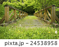 花園川の木製橋 24538958