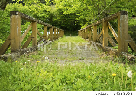 花園川の木製橋 24538958