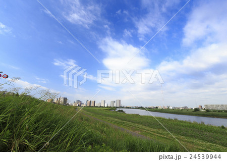 夏の多摩川河川敷の写真素材